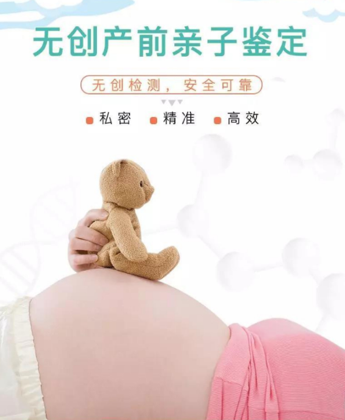 在[浙江]怀孕期间如何办理亲子鉴定,浙江产前亲子鉴定收费多少钱