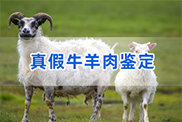 浙江羊类动物鉴定